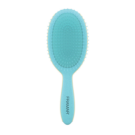 FRAMAR DETANGLE BRUSH BAECATION AQUA