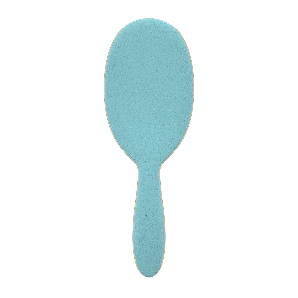 FRAMAR DETANGLE BRUSH BAECATION AQUA