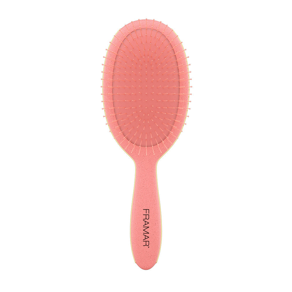 FRAMAR DETANGLE BRUSH BAECATION CORAL