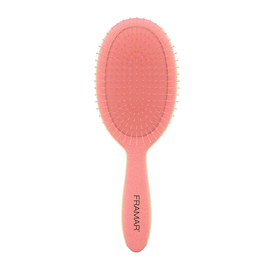 FRAMAR DETANGLE BRUSH BAECATION CORAL